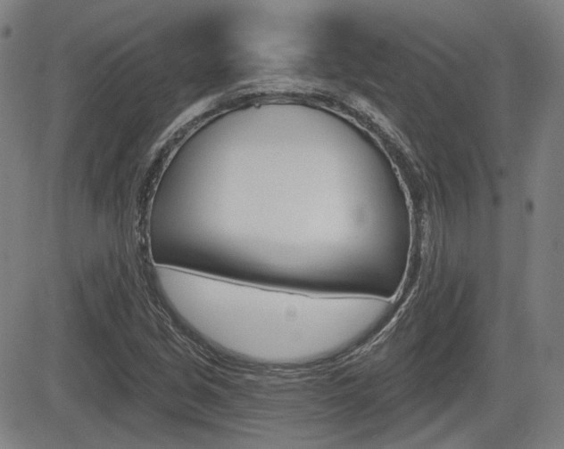 X0000085061213200703051024