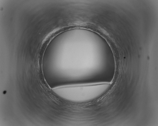 X0000085061214200703051024