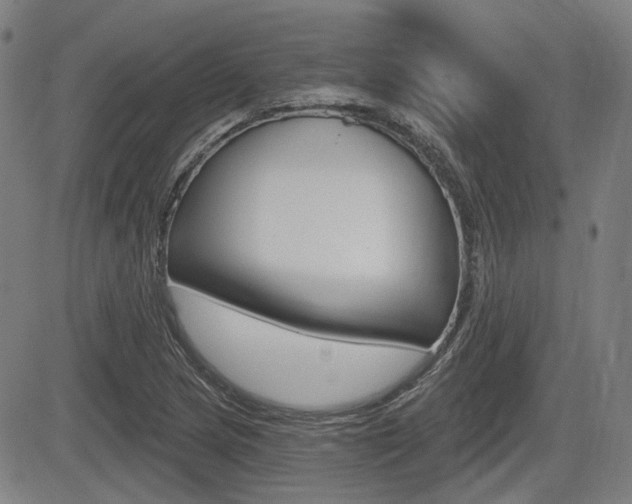 X0000085061217200703051024