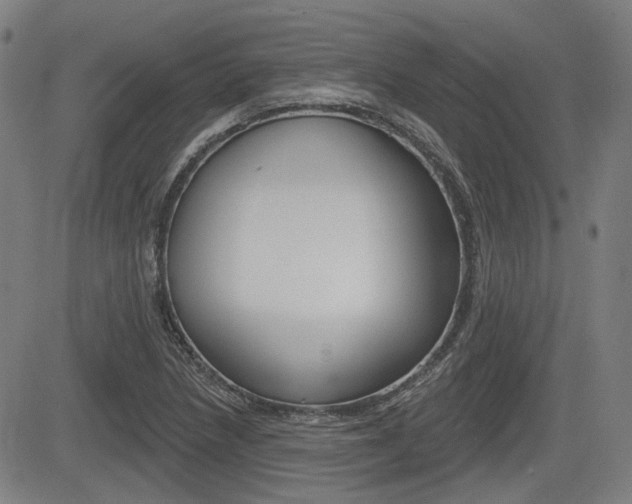 X0000085061218200703051024
