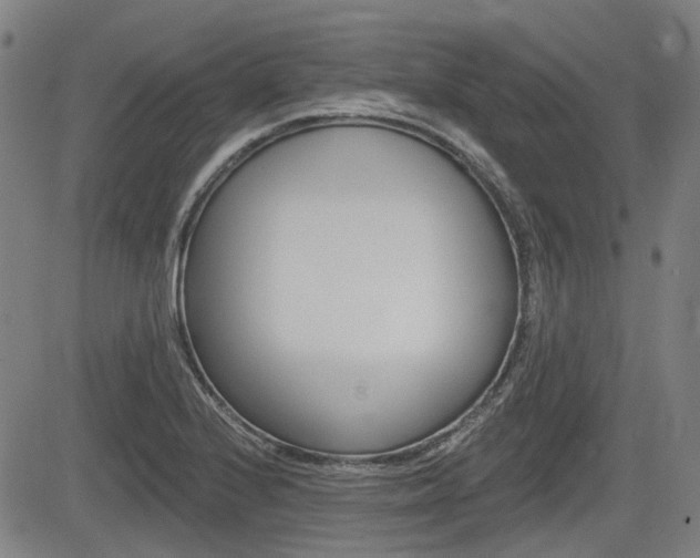 X0000085061224200703051024