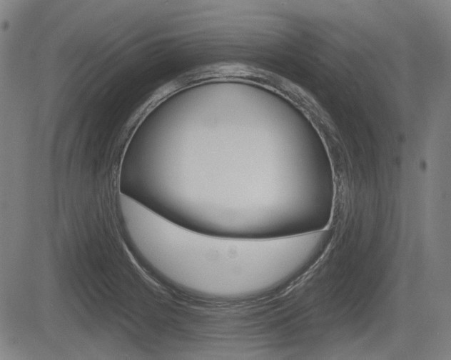 X0000085061225200703051024