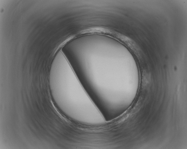 X0000085061233200703051024