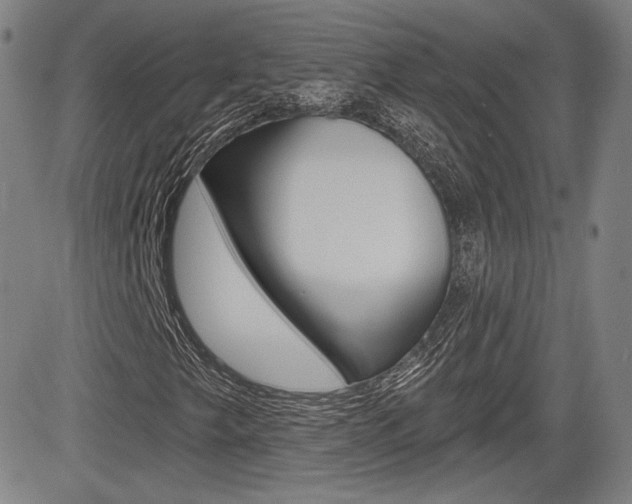 X0000085061249200703051023