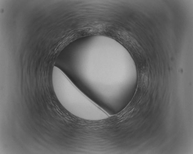 X0000085061250200703051023