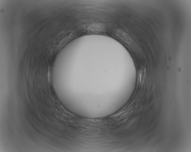 X0000085061251200703051023