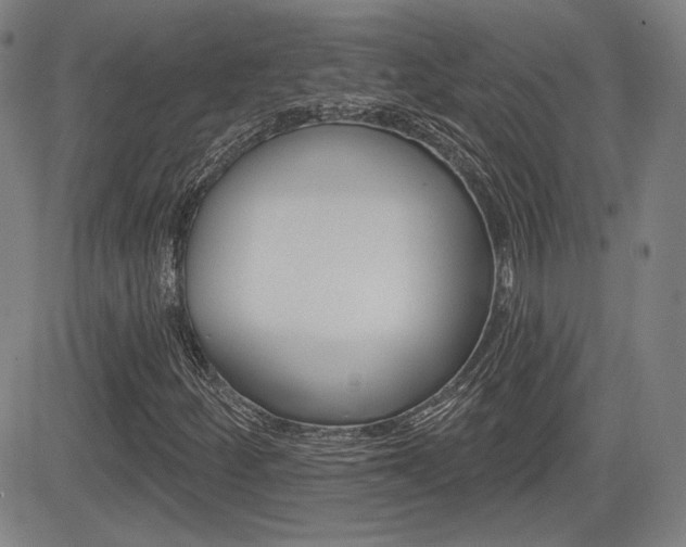 X0000085061252200703051023