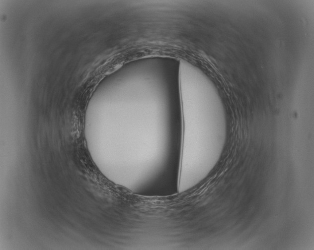 X0000085061253200703051023