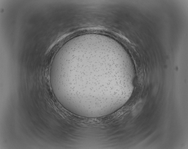X0000085061255200703051023
