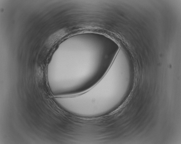 X0000085061257200703051023