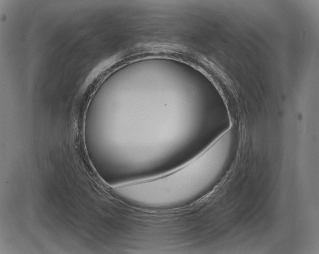 X0000085061261200703051023