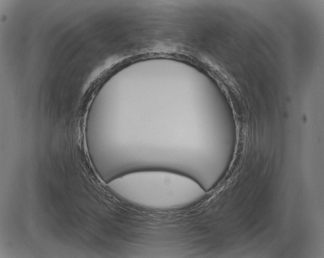 X0000085061262200703051023