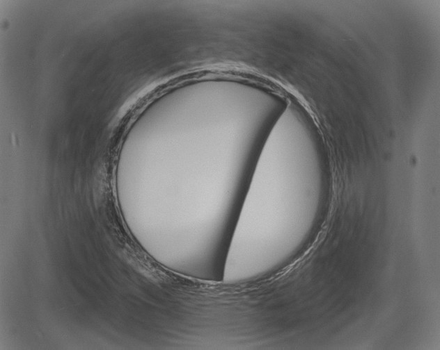 X0000085061263200703051023