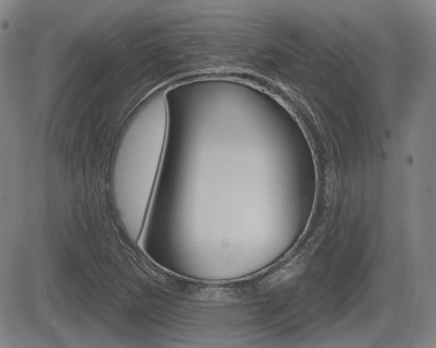 X0000085061265200703051023