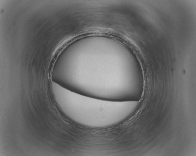 X0000085061267200703051023