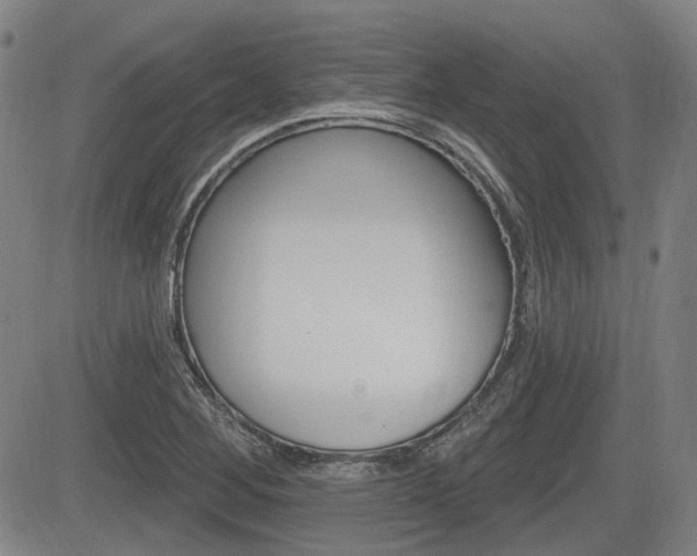 X0000085061268200703051023