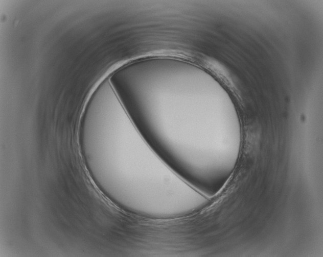 X0000085061284200703051023