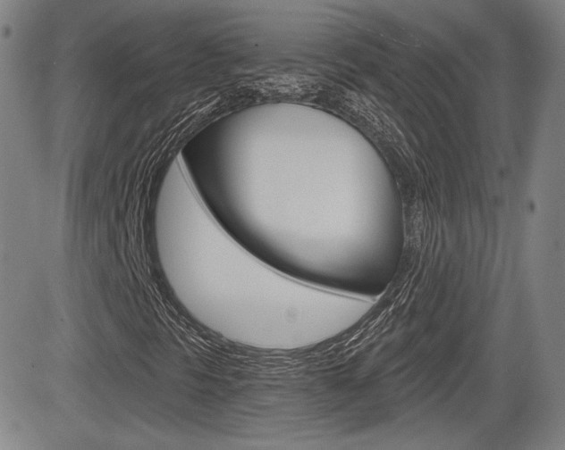 X0000085061297200703051022