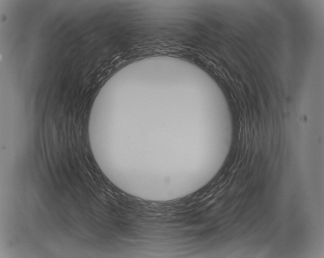 X0000085061298200703051022
