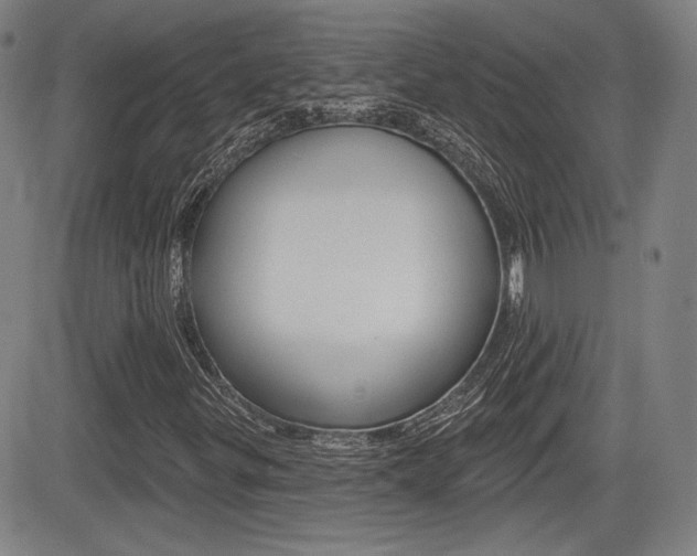 X0000085061299200703051022