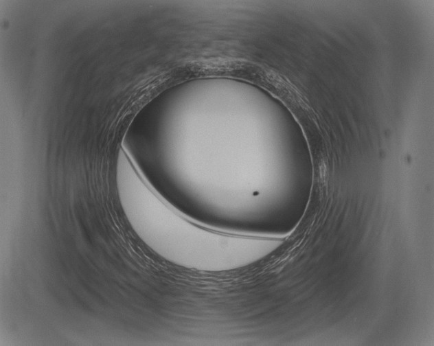 X0000085061300200703051022