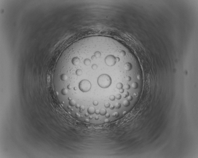 X0000085061302200703051022