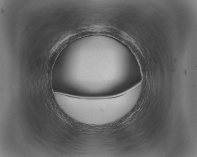 X0000085061304200703051022