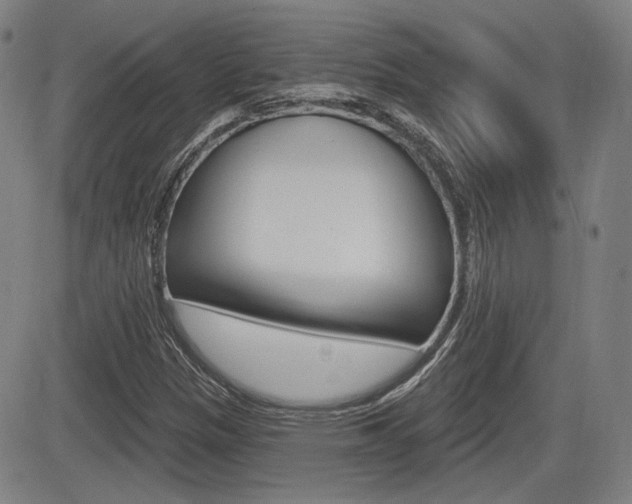 X0000085061305200703051022