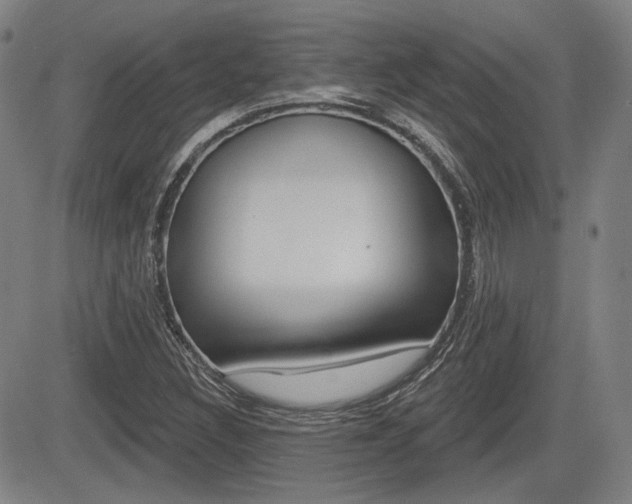 X0000085061308200703051022