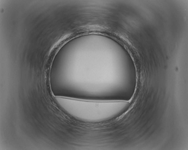 X0000085061309200703051022