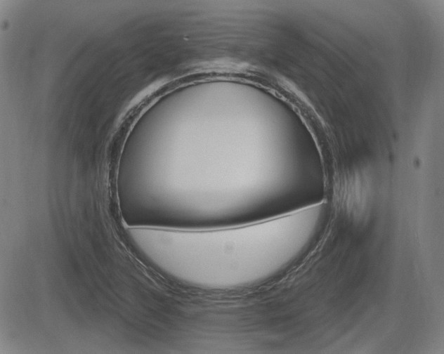 X0000085061315200703051022