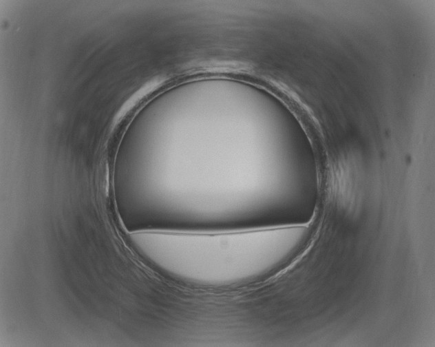 X0000085061317200703051022