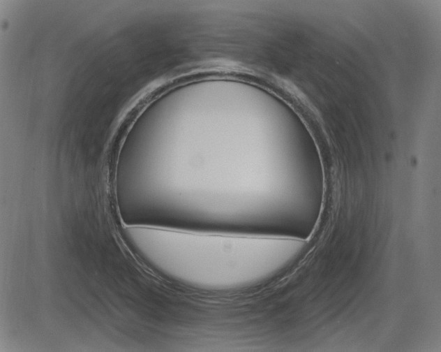 X0000085061318200703051022