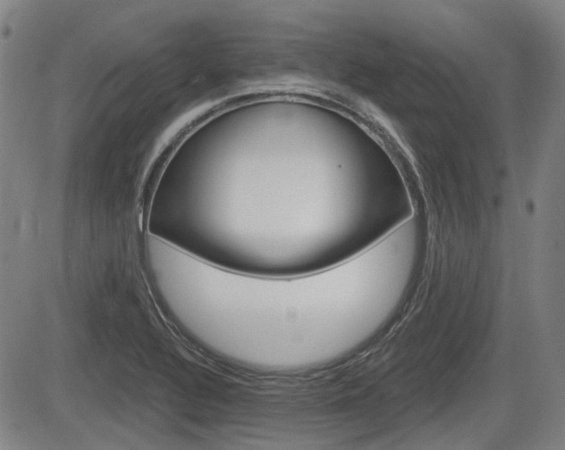 X0000085061320200703051022
