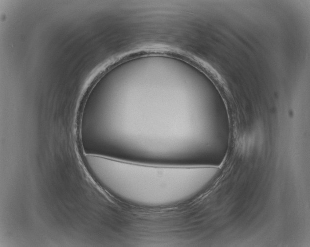 X0000085061327200703051022