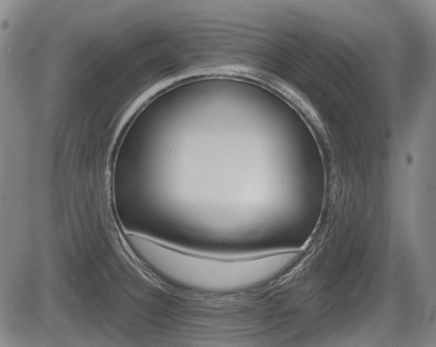 X0000085061332200703051022