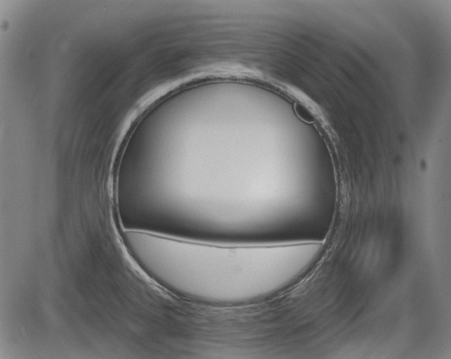 X0000085061335200703051022