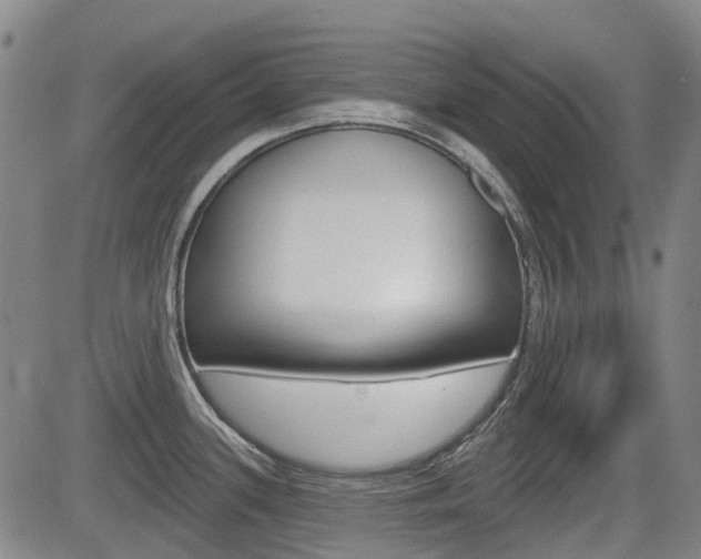 X0000085061339200703051022