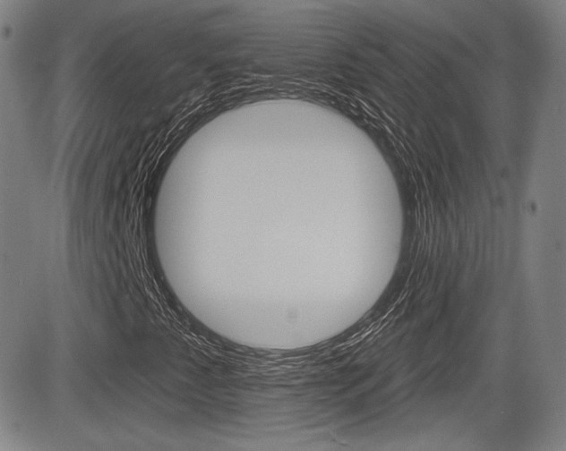 X0000085061345200703051022