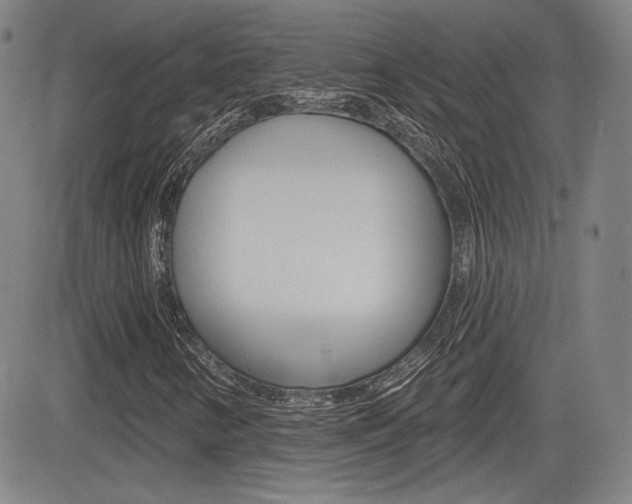 X0000085061346200703051022