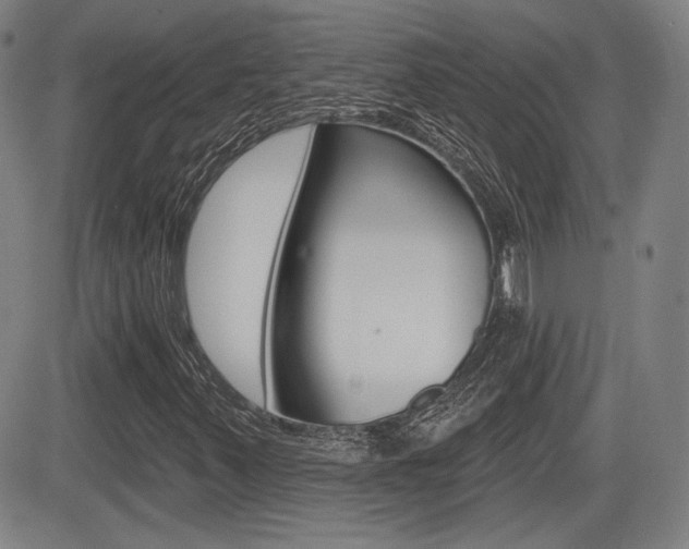 X0000085061347200703051022