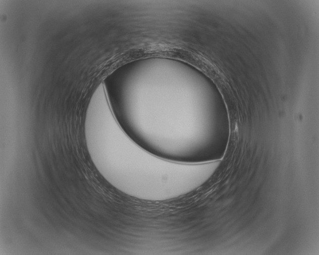 X0000085061348200703051022