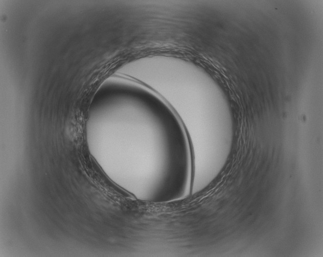 X0000085061349200703051022