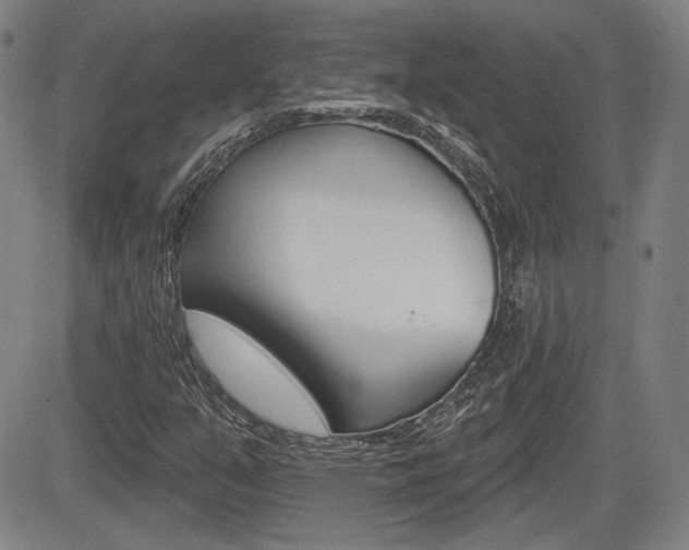 X0000085061351200703051022