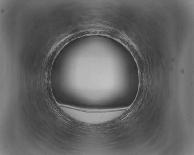 X0000085061352200703051022