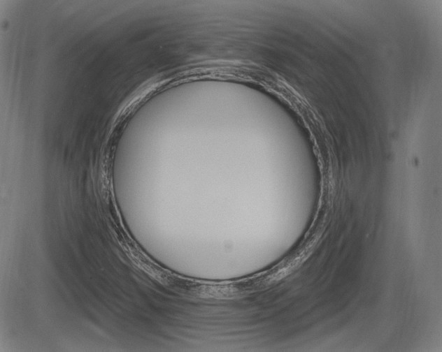 X0000085061354200703051022