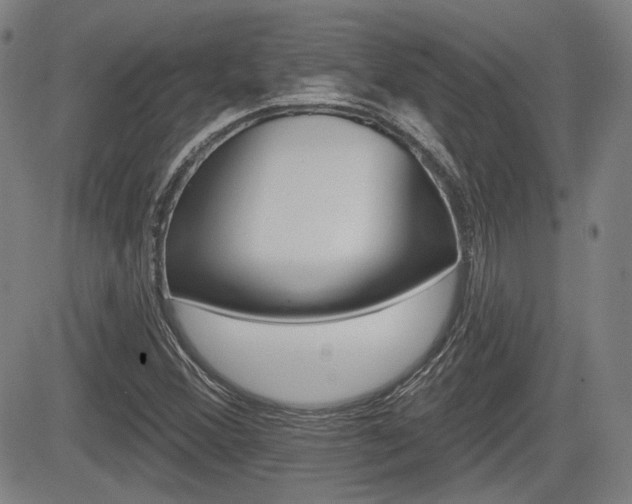 X0000085061356200703051022