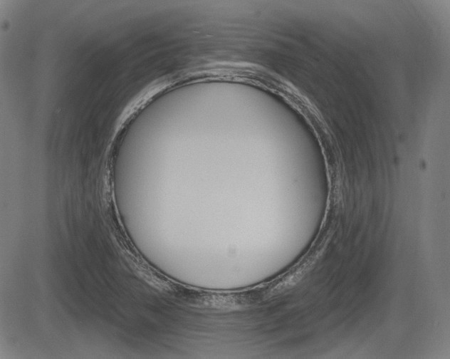 X0000085061362200703051021