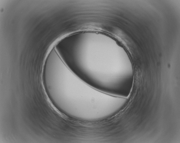 X0000085061379200703051021