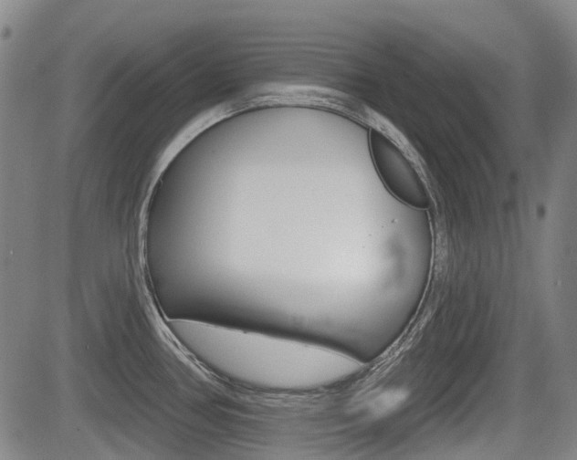 X0000085061386200703051021